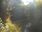 Live Camera Feed at Fyvie