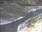 Live Camera Feed at Frenchay