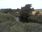 Live Camera Feed at Girvan