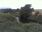 Live Camera Feed at Girvan