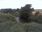 Live Camera Feed at Girvan