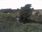 Live Camera Feed at Girvan