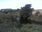 Live Camera Feed at Girvan
