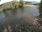 Live Camera Feed at Aberfeldy
