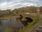 Live Camera Feed at Keswick