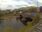 Live Camera Feed at Keswick