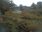 Live Camera Feed at Haddington