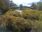 Live Camera Feed at Haddington