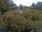 Live Camera Feed at Haddington