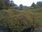 Live Camera Feed at Haddington
