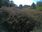 Live Camera Feed at Haddington