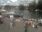 Live Camera Feed at Henley on Thames