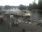 Live Camera Feed at Henley on Thames