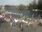 Live Camera Feed at Henley on Thames