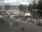 Live Camera Feed at Henley on Thames