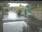 Live Camera Feed at Iwood