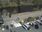 Live Camera Feed at Ilkley