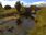 Live Camera Feed at Tebay