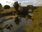 Live Camera Feed at Tebay