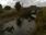 Live Camera Feed at Tebay