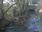 Live Camera Feed at Talybont: Leri
