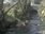 Live Camera Feed at Talybont: Leri