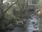 Live Camera Feed at Talybont: Leri