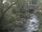 Live Camera Feed at Talybont: Leri