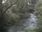 Live Camera Feed at Talybont: Leri
