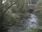 Live Camera Feed at Talybont: Leri