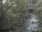 Live Camera Feed at Talybont: Leri