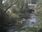 Live Camera Feed at Talybont: Leri