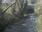 Live Camera Feed at Talybont: Leri