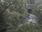 Live Camera Feed at Talybont: Leri
