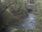 Live Camera Feed at Talybont: Leri