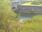 Live Camera Feed at Cameron Bridge