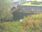 Live Camera Feed at Cameron Bridge
