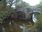Live Camera Feed at Loddiswell