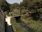 Live Camera Feed at Stroud, Lodgemore Bridge