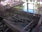 Live Camera Feed at Bath - Pulteney Bridge