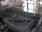 Live Camera Feed at Bath - Pulteney Bridge
