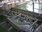 Live Camera Feed at Bath - Pulteney Bridge