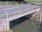 Live Camera Feed at Chiselborough