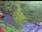 Live Camera Feed at Yeovil Pen Mill