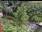 Live Camera Feed at Yeovil Pen Mill