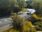 Live Camera Feed at Pershore Bridges - Picnic Area