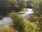 Live Camera Feed at Pershore Bridges - Picnic Area