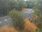 Live Camera Feed at Pershore Bridges - Picnic Area