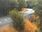 Live Camera Feed at Pershore Bridges - Picnic Area