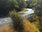 Live Camera Feed at Pershore Bridges - Picnic Area